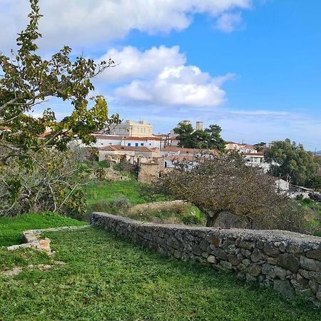 Villa Hidden Gem Of 1900, 7Km From Sea Potamos  Esterno foto