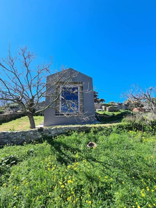 Villa Hidden Gem Of 1900, 7Km From Sea Potamos  Esterno foto