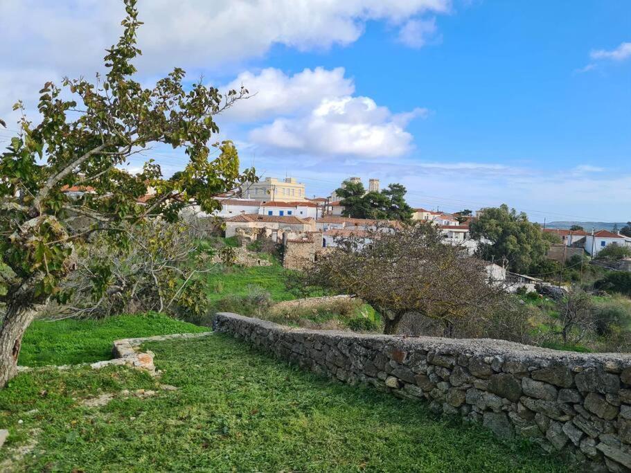 Villa Hidden Gem Of 1900, 7Km From Sea Potamos  Esterno foto