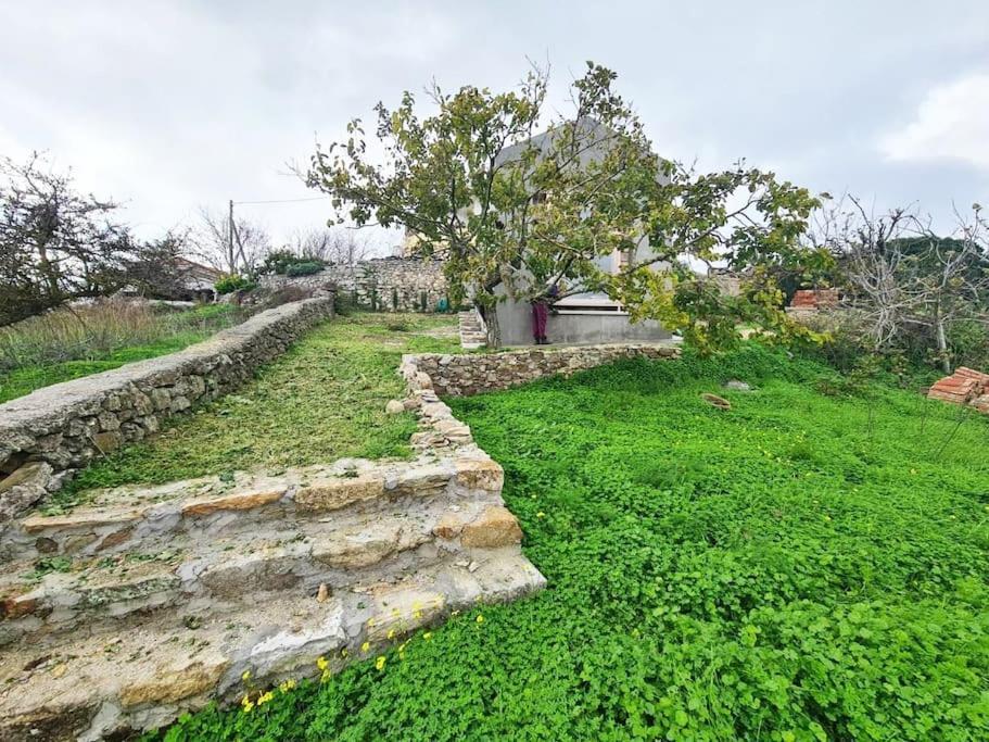 Villa Hidden Gem Of 1900, 7Km From Sea Potamos  Esterno foto